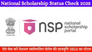 NSP Scholarship Status 2024